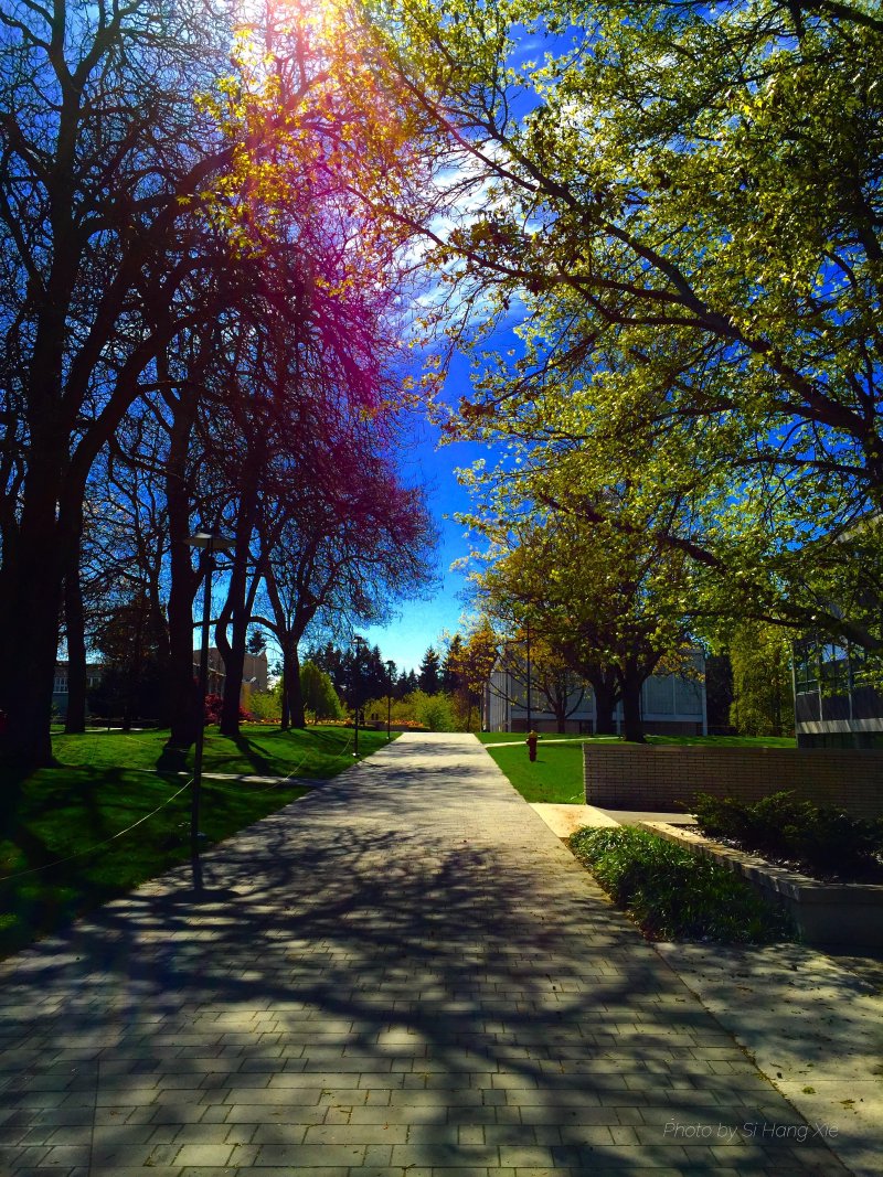 campus.jpg