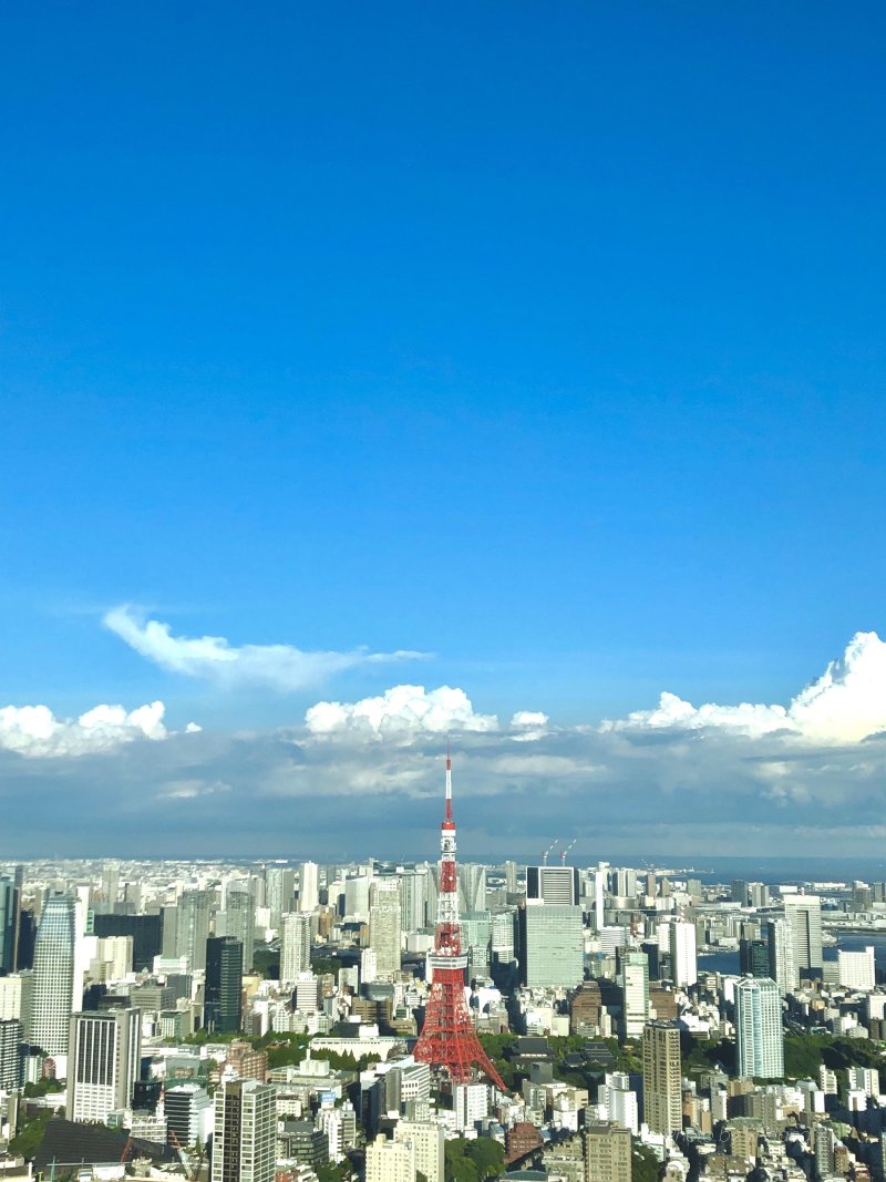 l_tokyo_tower.jpg